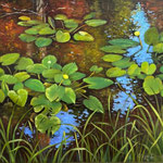 Eliza Auth, “Spatterdock”, 11" x 14", oil on canvas