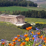 Segesta