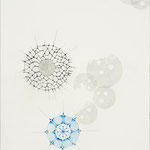 blauer Walbart | 86 x 61 cm | Graphit, Bunststift auf Papier | 2024