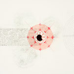 Purpurschnecke | 61 x 86 cm | Graphit, Bunststift auf Papier | 2024