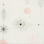 Seespinnen | 61 x 86 cm | Graphit, Bunststift auf Papier | 2024