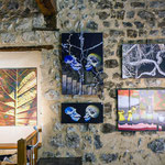 Foulonjm - Expo Photographie & peinture
