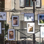 Rencontres Artistiques Edition 3 - 25 juin 2017
