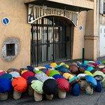 Une Exposition Champignonesque 
