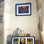 Jean-jacques Ligot - Sans titre manifestement - Photo & peinture