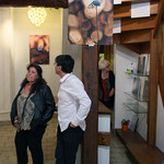 Vernissage de l'exposition Michel Bonifay "Regard Nature" Atelier Sist'Arts 36, rue Mercerie à Sisteron