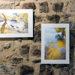 Hélène Martinaud - Photographies