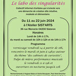 Labo des Singularités 