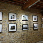 Jean-jacques Ligot - Sans titre manifestement - Photo & peinture
