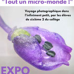 Tout un micro-monde