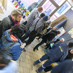 Bipolaires et 'Alors - Vernissage