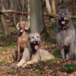 Paarfoto mit Bodyguard