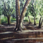 Chestnut tree @ Oslo Botanical Garden, 2014, 50x61cm