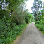 Route 3