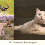 TRT - 2003-A
