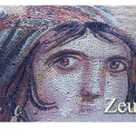 TRT -2023-D