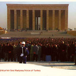 TRT - 2009-D