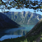 la vue sur le fjord 