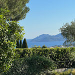 Blick vom Pool