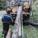 Aufladen von Baumstämmen (bei der Arbeitssicherheit ist noch viel zu tun!)