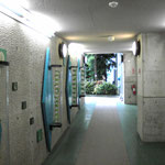 photo13:仙台市農業園芸センタ－大温室（トンネル内展示コ－ナ－）