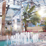 photo1:仙台市農業園芸センタ－大温室（噴水広場）