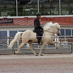 Vilja, född -11