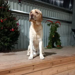 jack i juletider