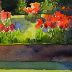 #914 / Tulpen in Nachbars Garten, Aquarell, plein air /  Tulips in the neighbor's garden, watercolor painting, plein air,  Aquarellpapier/watercolor paper: Hahnemühle Ingres 100 g/m²,  Bildausschnitt H x B (H x W): 30 cm x 45 cm