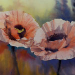 #771 / Tete-a-tete (Orientalischer Mohn II), Aquarell,  Tete-a-tete (Oriental Poppies II), watercolor painting, Aquarellpapier/watercolor paper: Arches 185 g/m²,  Bildausschnitt H x B (H x W): 50 cm x 75 cm, VERKAUFT/SOLD