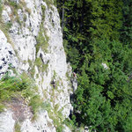 1. Sl sehr schrofig und schottrig
