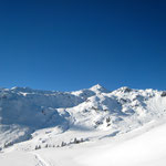 Rückblick zum Salzachgeier