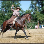 Festival Groboz « Danse avec les chevaux »
