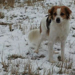 Es liegt wieder Schnee