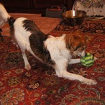 Und jetzt wieder mit dem Ball spielen!