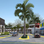 Plaza del Valle, Tala 2013