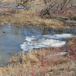 Dernières glaces