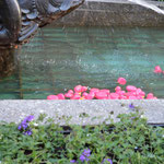 … et ses petits canards en plastique