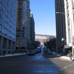 Vue d'un Mont-Royal très ensoleillé depuis le centre-ville