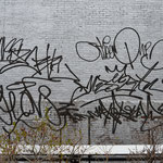 Oeuvre de Damian Ortega