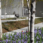 Jardin du MoMa