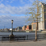 Balade au sud de l'île, à Battery Park