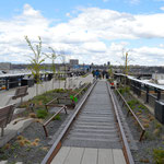 Balade sur la High Line