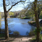 Arrivée à Central Park
