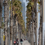 Promenade zum "El Peix am Port Olimpic"