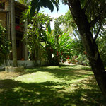 Jardim