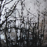 „branches“, 2004, 100x88cm, Stahlblech geschliffen, Transparentfarbe