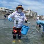 温暖化の影響で増えているムラサキウニ