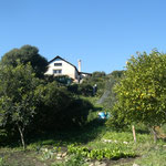 La cocina vista desde el huerto