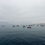 Fischerboote von Punta de Choros